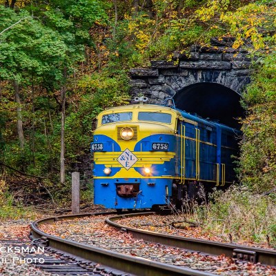 a train traveling down train tracks near a forest
