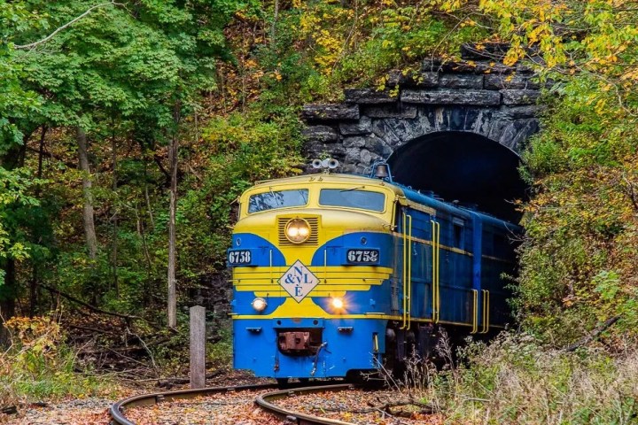 a train traveling down train tracks near a forest