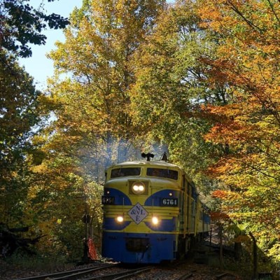 a train traveling down train tracks near a forest