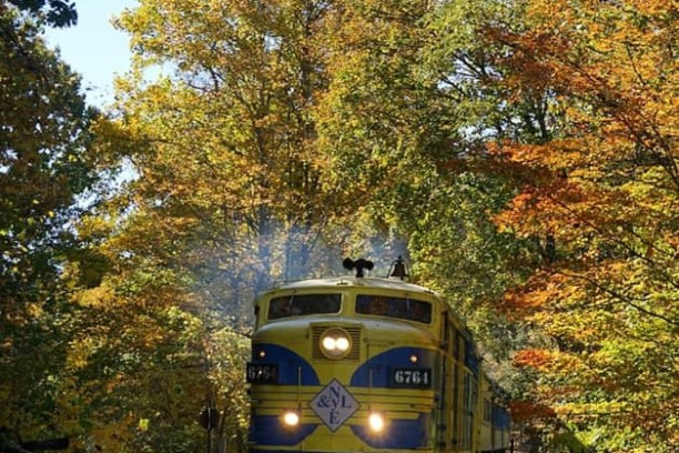 a train traveling down train tracks near a forest