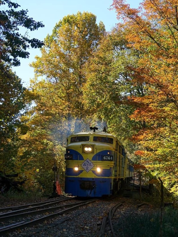a train traveling down train tracks near a forest