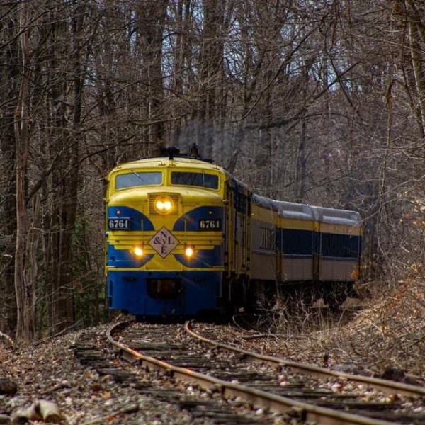a train traveling down train tracks near a forest